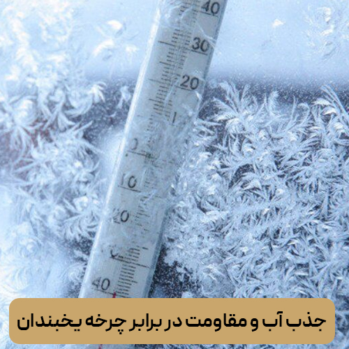 جذب آب و مقاومت در برابر چرخه یخبندان