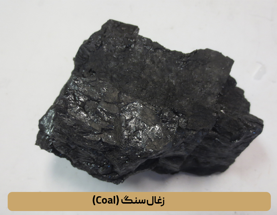 زغال‌سنگ (Coal)